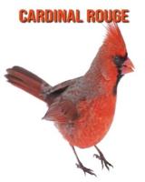 Cardinal Rouge: Photos Etonnantes & Recueil d'Informations Amusantes Concernant les Cardinal Rouge pour Enfants