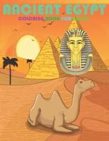 Ancient Egypt coloring book for adults: Relieve stress and have fun with Egyptian pharaohs, gods, hierolyphices and symbols ( egyptian coloring book )