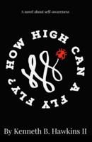 How High Can a Fly Fly?: A novel about self-awareness