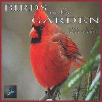 Birds in the Garden: Calendar 2022