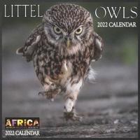 Little Owls CALENDAR 2022: 12 Month Mini Calendar from Jan 2022 to Dec 2022, Cute Gift   Idea   Pictures in Every Month
