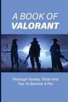 A Book Of Valorant
