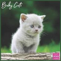 Baby Cats Calendar 2022: Official Cats 2022 Calendar 16 Months
