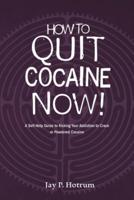 How to Quit Cocaine Now!: A Self-help Guide to Kicking Your Addiction to Crack or Powdered Cocaine.          (GlobalAddictionSolutions.org)