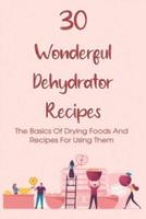 30 Wonderful Dehydrator Recipes