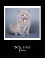 2021-2022 Monthly Planner: Planner 2021-2022 for Women - 18 Month Diary & Calendar. Planner from July 2021 to December 2022 with Goals & Reflection Pages. Large Size 8.5" x 11" 100 Pages. Stunning Blue Grey Cheeky Kitten Cat Lover Design