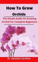 How To Grow Orchids: The Simple Guide On Growing Orchid For Complete Beginners