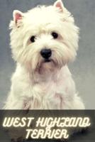 West Highland Terrier: Complete breed guide