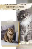 HOW TО KEEP CATS FROM SCRATCHІNG LEATHER FURNITURE: SAVE YOUR SOFA