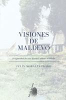 VISIONES DE MALDEVO: Fragmentos de una Punta Umbría olvidada