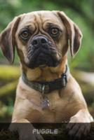 Puggle:  Complete breed guide