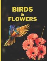 Birds & Flowers: The perfect coloring book for an exotic bird coloring book for coloring book coloring books for kids home comfort