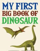My First Big Book Of Dinosaur: The Amazing Age Of Dinosaurs