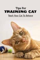 Tips For Training Cat