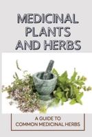 Medicinal Plants And Herbs