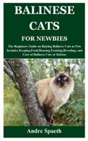 Balinese Cats for Newbies