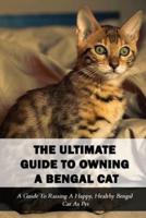 The Ultimate Guide To Owning A Bengal Cat