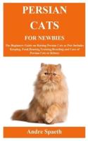 Persian Cats for Newbies