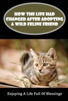 How The Life Had Changed After Adopting A Wild Feline Friend