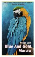 BLUE AND GOLD MACAW: All you need to know about macaw and how they can be handled
