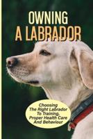Owning A Labrador