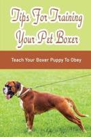 Tips For Training Your Pet Boxer