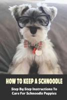 How To Keep A Schnoodle