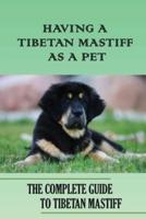Having A Tibetan Mastiff As A Pet