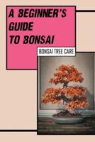 A Beginner's Guide To Bonsai