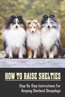 How To Raise Shelties