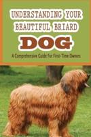 Understanding Your Beautiful Briard Dog