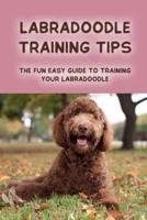 Labradoodle Training Tips