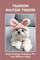 Training Maltese Terrier