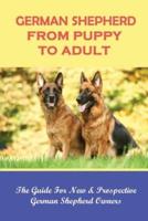German Shepherd From Puppy To Adult