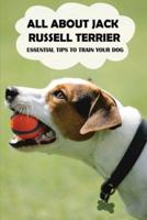 All About Jack Russell Terrier