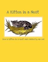 A Kitten in a Nest: How a Kitten in a Nest was raised by an Owl