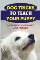 Dog Tricks To Teach Your Puppy