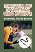 Teach Your Dog To Come Back Using a Whistle