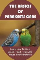 The Basics Of Parakeets Care