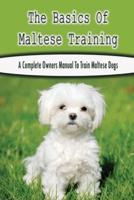 The Basics Of Maltese Training