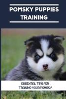 Pomsky Puppies Training