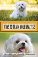 Ways To Train Your Maltese
