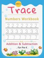 Trace Numbers Workbook