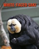 White-Faced Saki