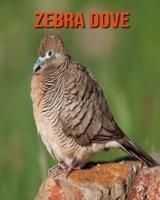 Zebra Dove