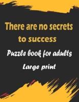 There Are No Secrets to Success
