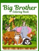 Big Brother Coloring Book