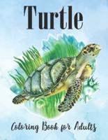 Turtle Coloring Book for Adults