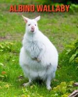 Albino Wallaby