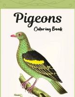 Pigeons Coloring Book